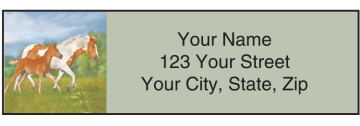 Horse Play Address Labels – click to view product detail page