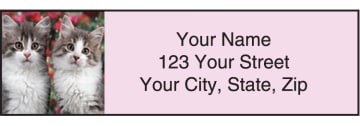 kitty review address labels - click to preview