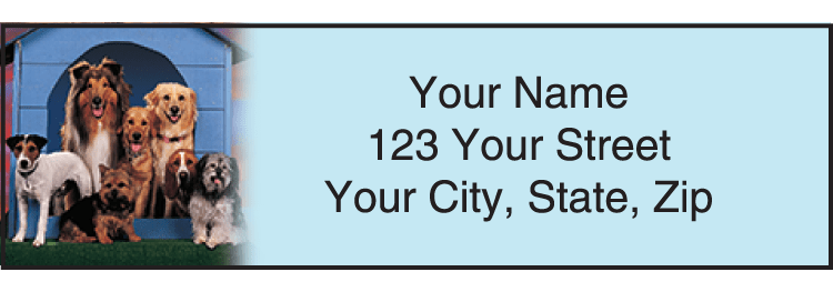 Dog Adventures Address Labels | Designer Checks