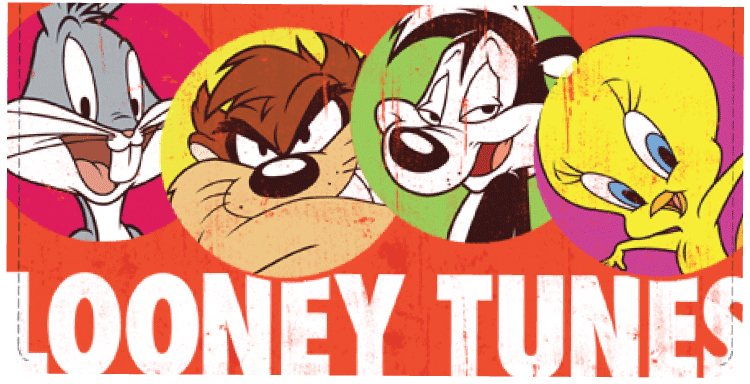 Looney Tunes Checkbook Cover