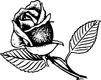 Rose & Flowers Symbol