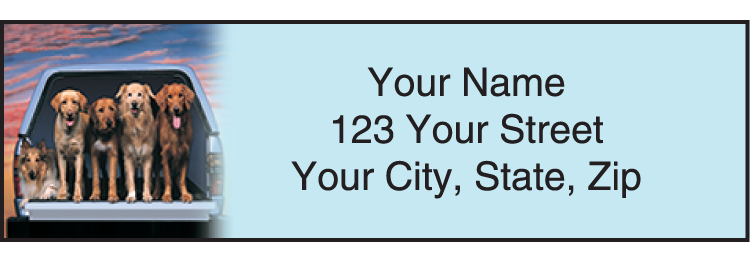 Sets of 210 sheeted, self-sticking labels; size 2-1/2" x 7/8".