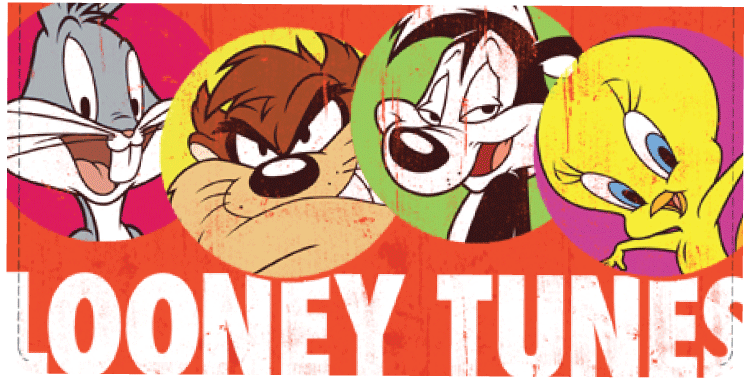 Buy Looney Tunes Checkbook Cover