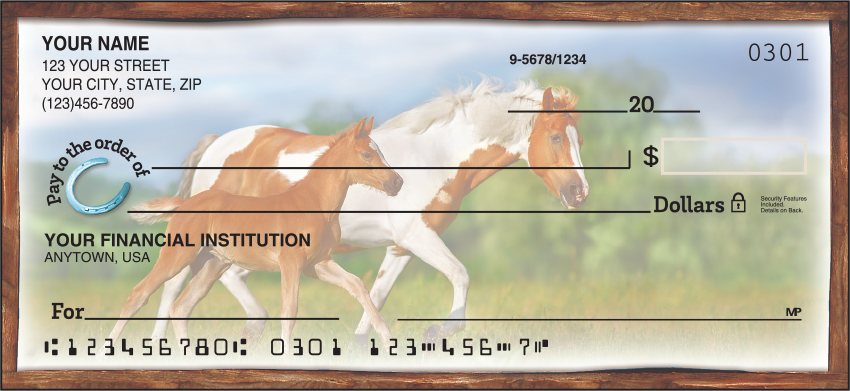 Horse Play Recreation Personal Checks - 1 Box - Duplicates