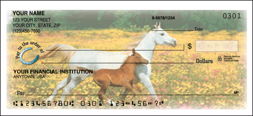 Horse Play Personal Checks - 1 Box - Duplicates